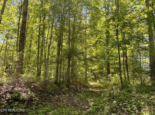 0 Rob Watson Rd, Oneida, TN 37841