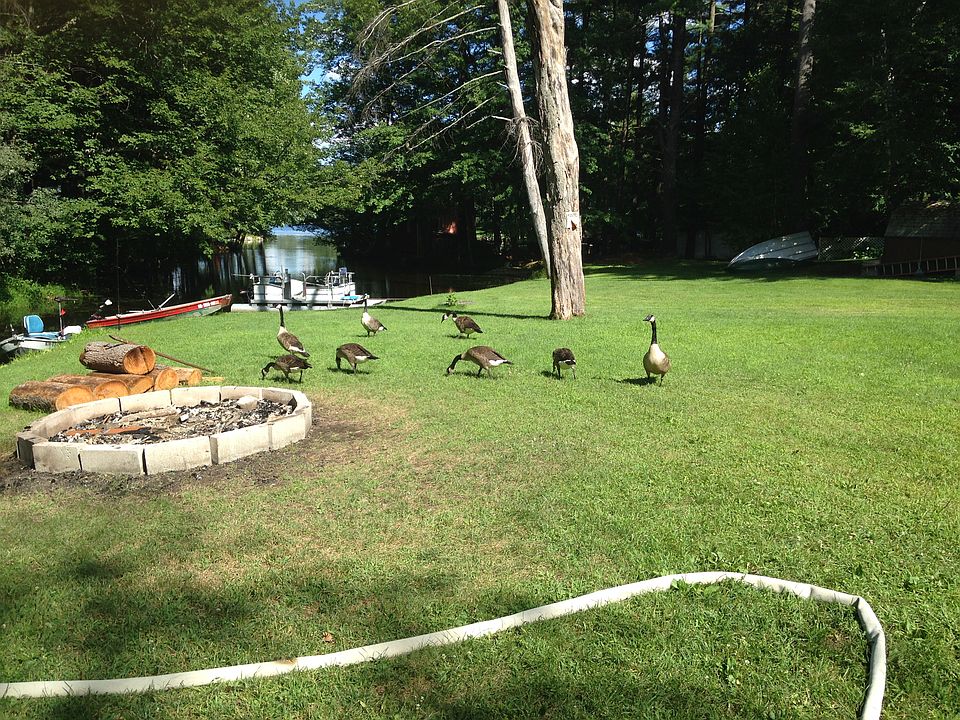 2nd image of 21 Grove Ave