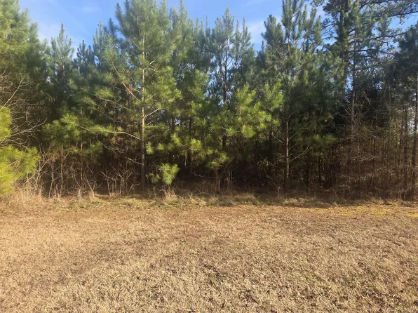 0 Laurel Mill Rd, Louisburg, NC 27549