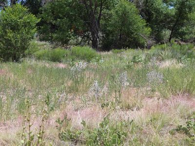 Hidden Mesa Dr #6, Pueblo, CO, 81006