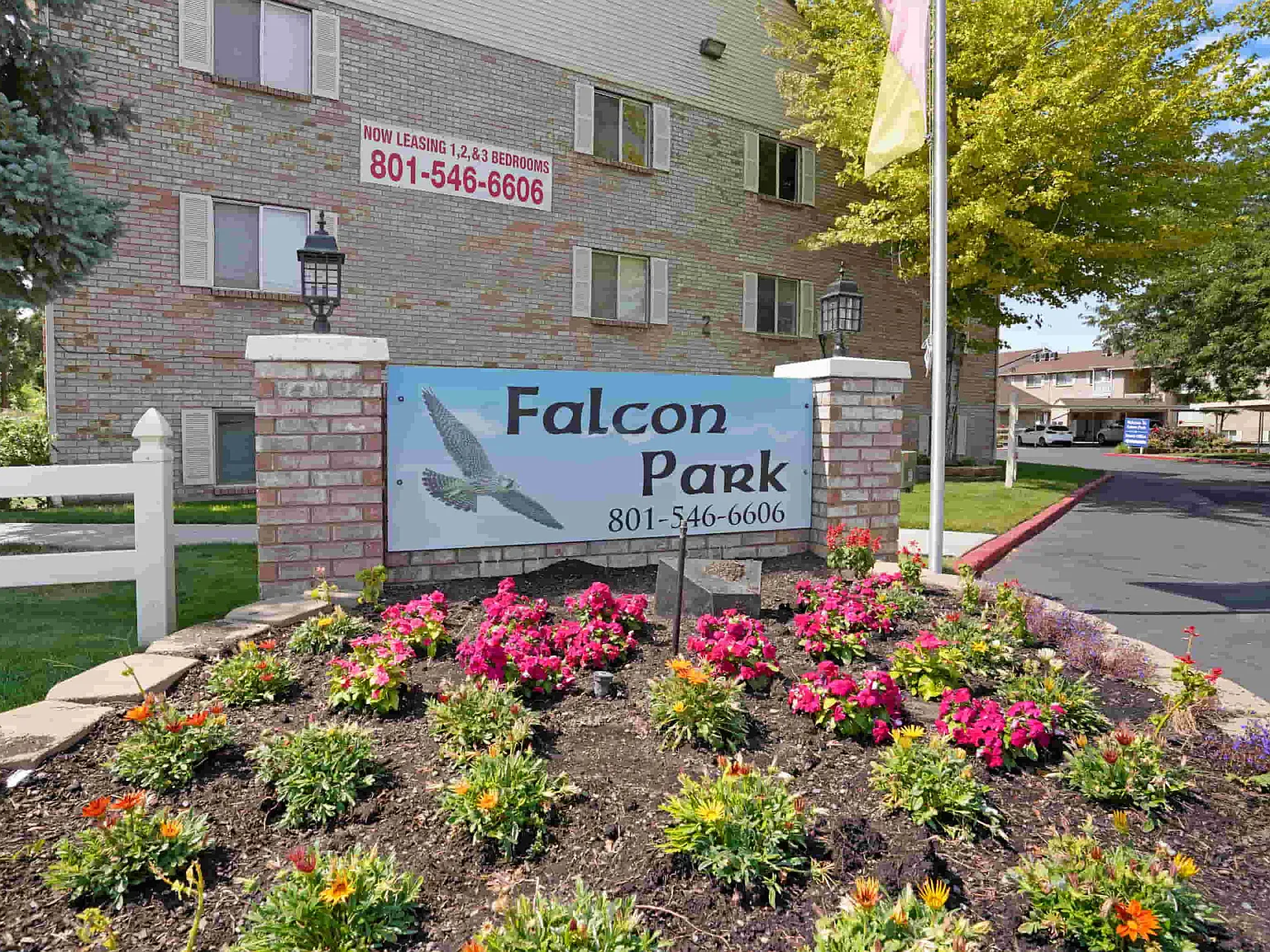 Falcon Park Apartments — Photo 1
