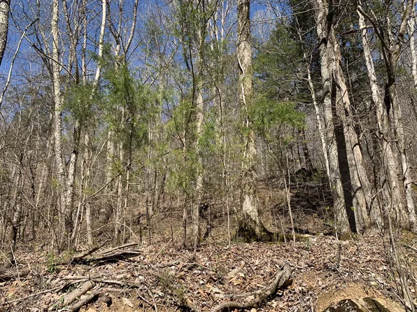 0 Denton Rd Lot 3, Linden, TN 37096
