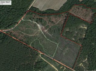 Jackson Gin Road Tract, Harrison, GA 31035