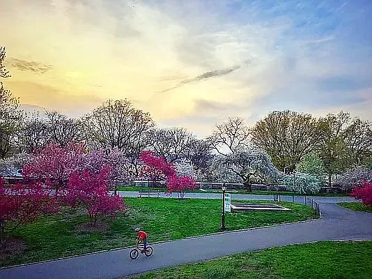 Rented by Rachel Realty | media 6