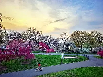 Rented by Rachel Realty