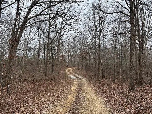 Highway T Forest Rd #3697, Poplar Bluff, MO 63901