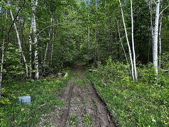 5th image of Melcher St Lot Wp001