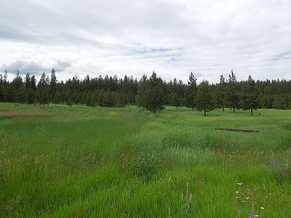 S side of garage looking NW
