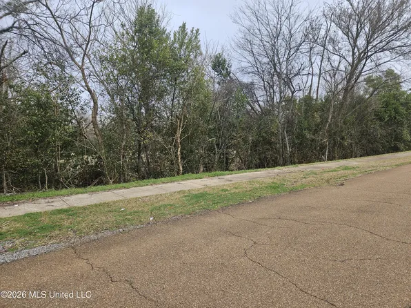 309 Bob D Williams Ln, Natchez, MS 39120