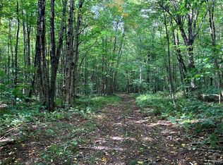 1441 State Route 13 LOT 1, Altmar, NY 13302