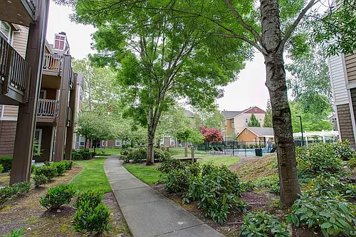 Commons at Verandas in Tanasbourne Apartments Photo 1