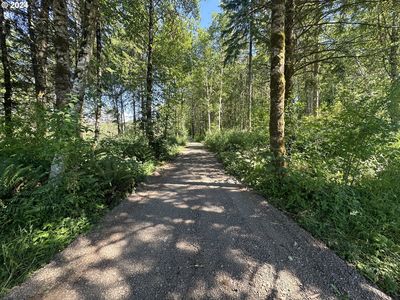 0 Price Rd, Rainier, OR, 97048
