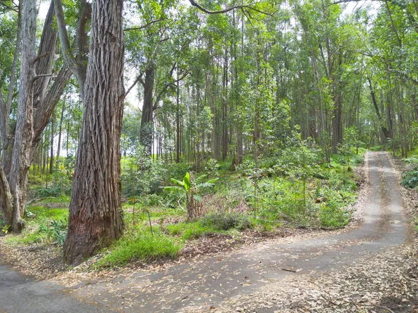 44-3895 Kukuipapa Rd Lot 48A-1, Paauilo, HI 96776