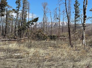 13621 Forbes Park Rd, Fort Garland, CO 81133