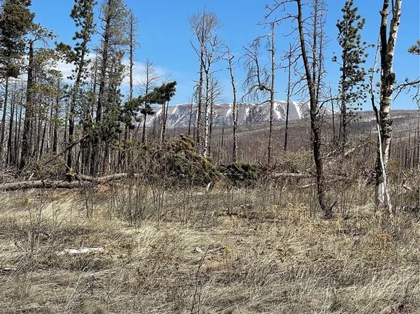 13621 Forbes Park Road, Fort Garland, CO 81133