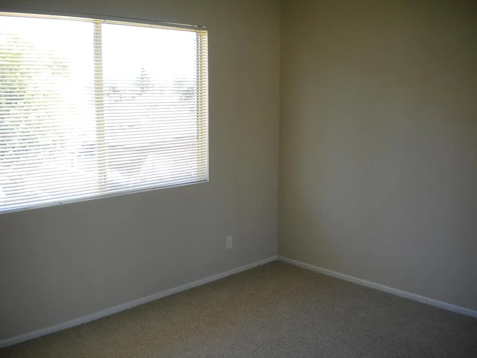 New carpet