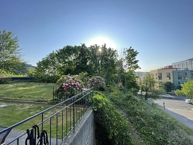 Looking due east from balcony and kitchen window