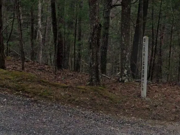 0 Old Hickory Ln, Tellico Plains, TN 37385