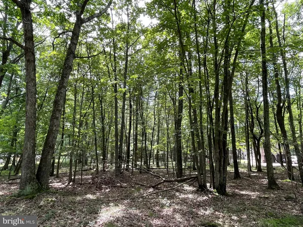 29 Jay Peak Ln, Zion Grove, PA 17985