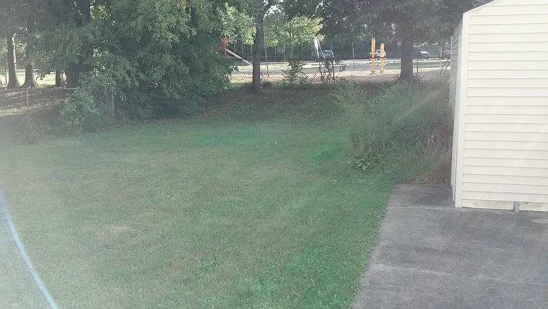 Thumbnail 12