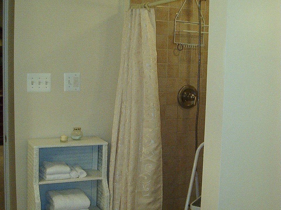 Master bath shower