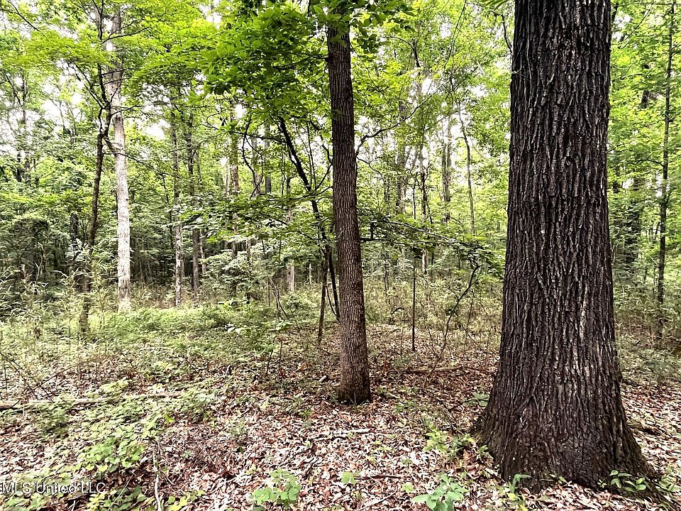 County Road 52, Vaiden, MS 39176 MLS 4050074 Zillow