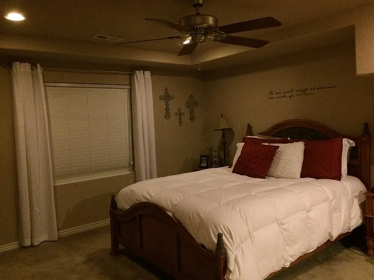 Basement Master Bedroom