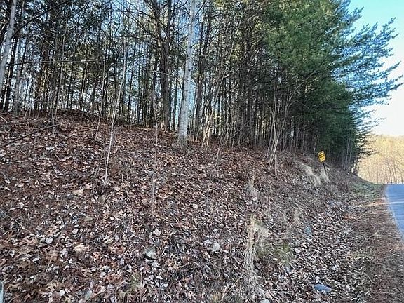 5th image of 0 Chamberlain Ln Lot 54E