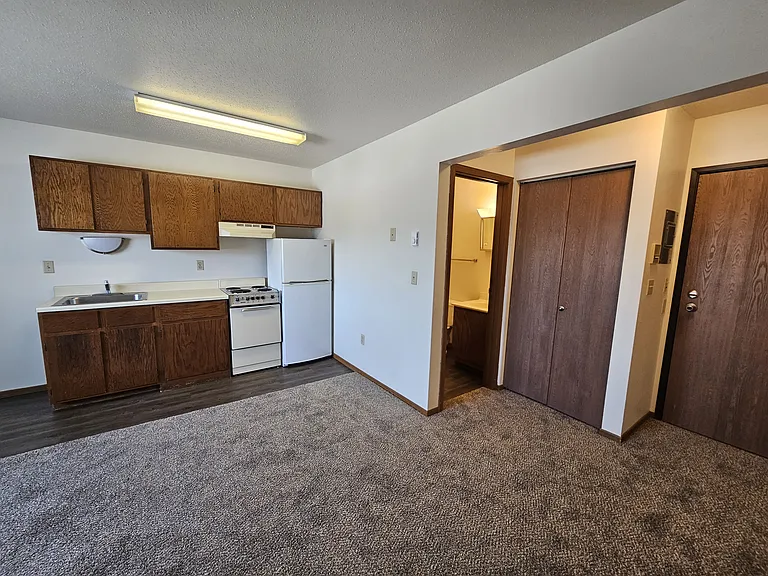 4325 Green Apartments — Photo 8