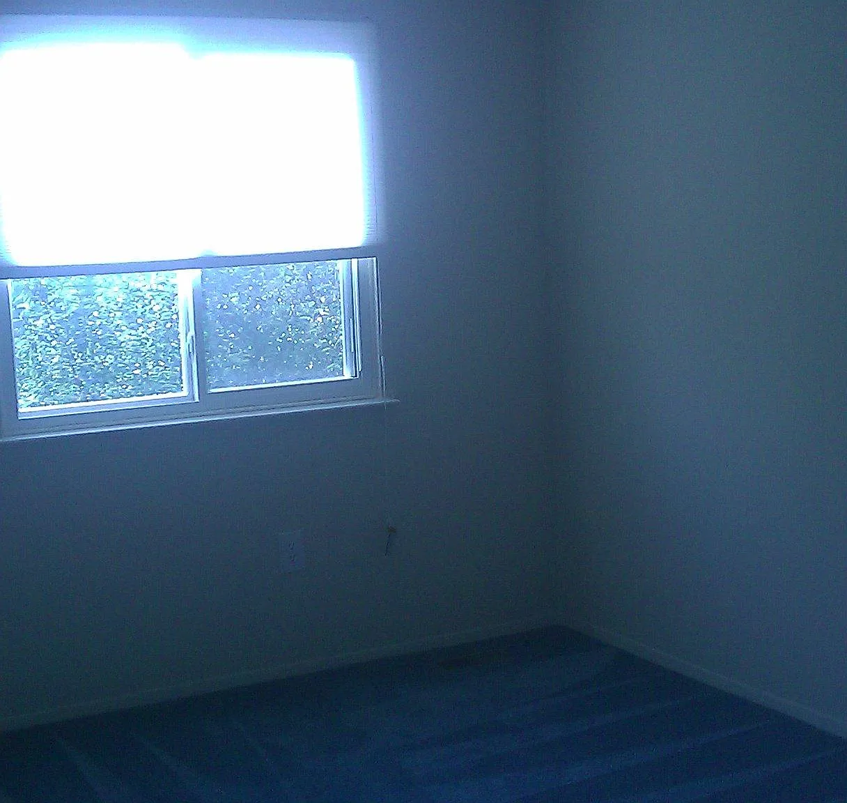 2 bed, 1.5 bath, 1000 sqft, $1,575 — Photo 4
