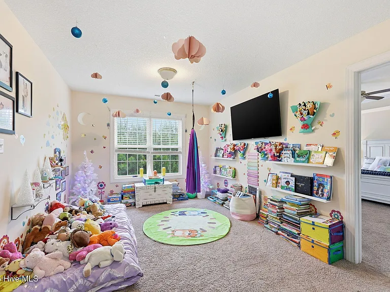 317 Little Egret Ln — Photo 28