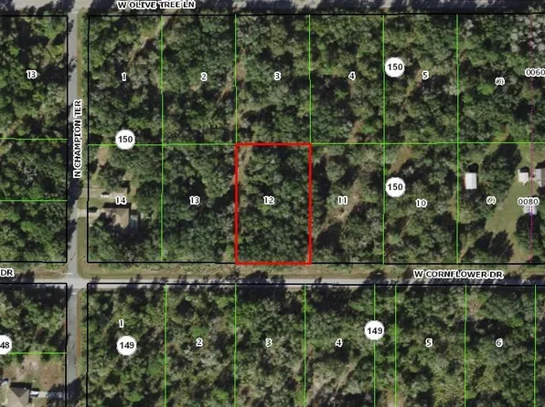 11961 W Cornflower Dr, Crystal River, FL 34428