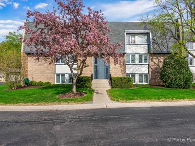 2109 Ammer Ridge Ct Unit 201, Glenview, IL, 60025