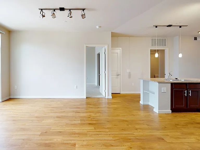 Apartment dining and living room with wood-style flooring.
