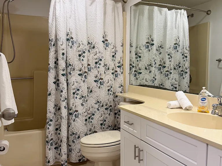 Guest Bathroom w/ shower/tub combo