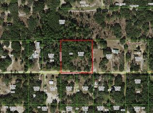 1299 W Brandywine St, Lecanto, FL 34461