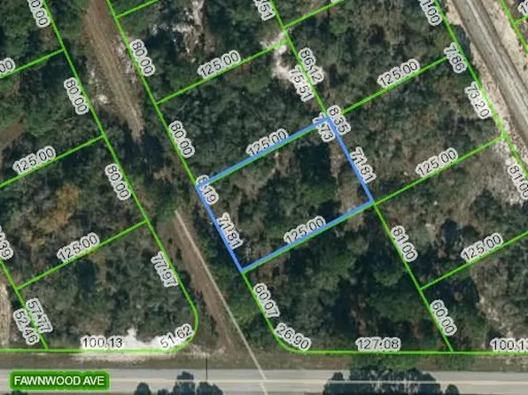 203 Blue Horizon Dr #25, Lake Placid, FL 33852