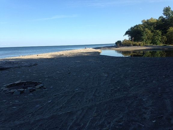mouth of creek behind apt.