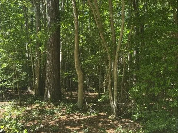 New Hope Ct, Gloucester, VA 23061