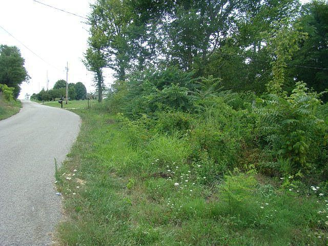2nd image of 115 Dyer Ridge Rd
