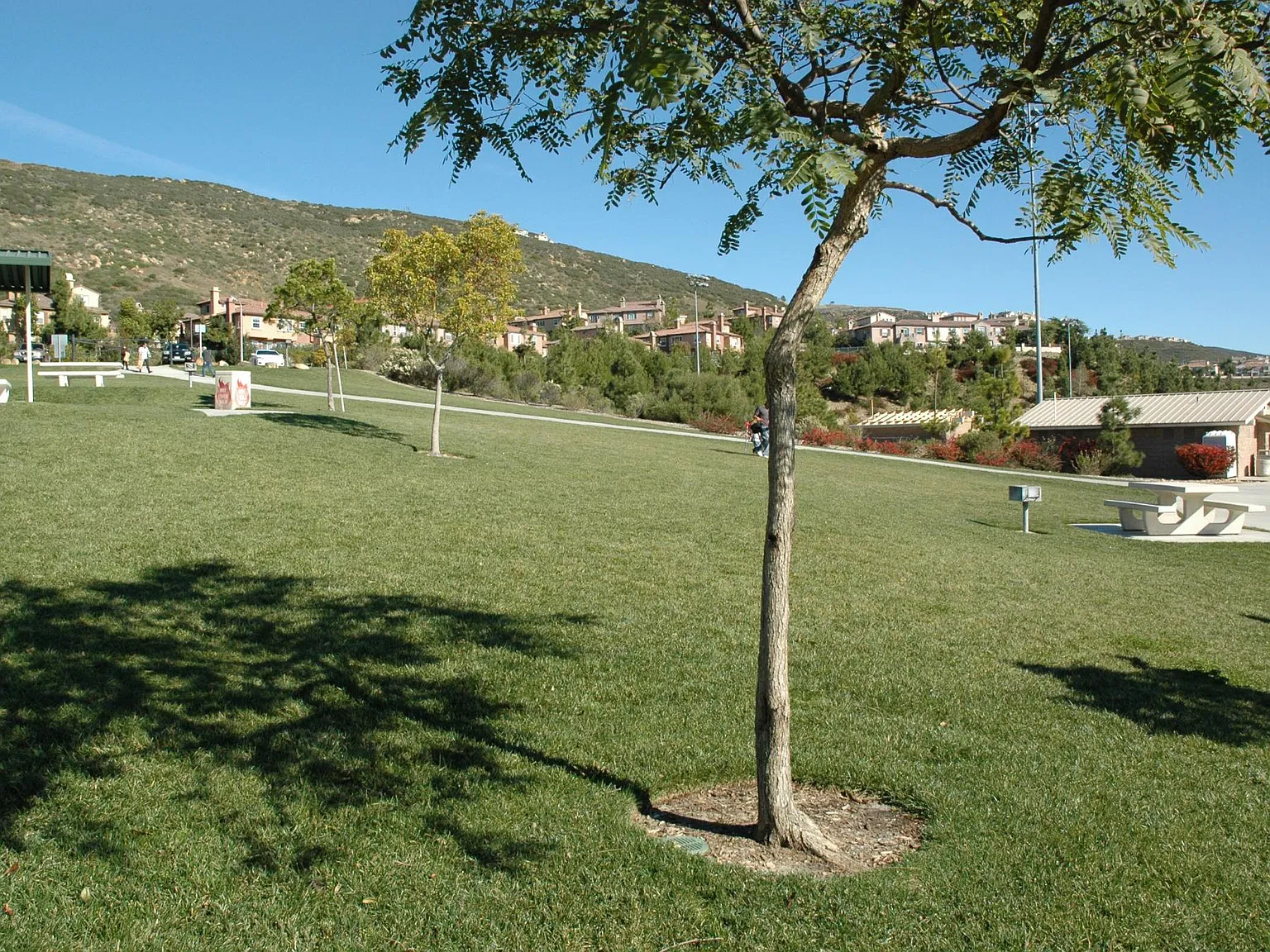 2 bed, 1481 sqft, $3,495 — Photo 3
