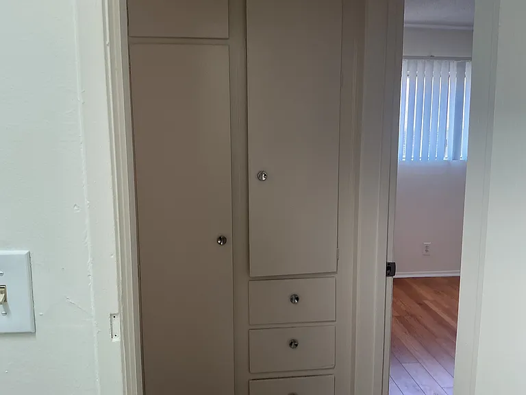 Hall storage closets and drawers