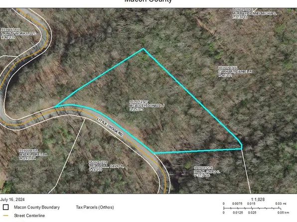 2200 Little Choga Rd, Topton, NC 28781