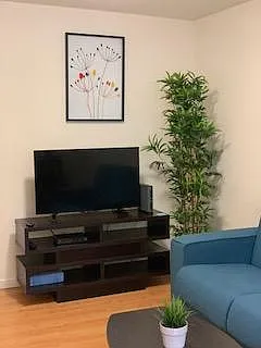 1114 Villa St #6 — Photo 7