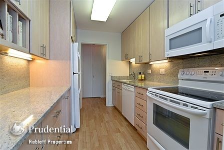 4th image of 1560 N Sandburg Ter APT 902