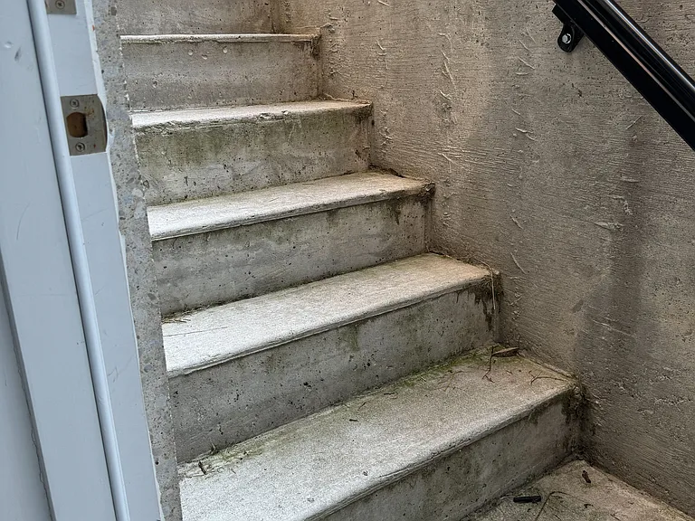7227 Para Pl #LEGAL BASEMENT — Photo 18