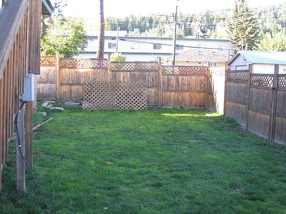 Back yard