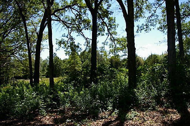 1st image of 16411 County Road 4018