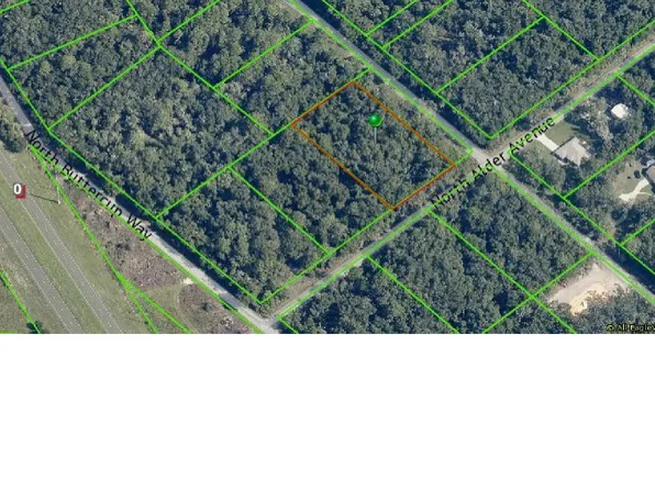 9096 N Alder Avenue, Crystal River, FL 34428