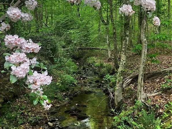 X Kelly Bridge Rd, Dawsonville, GA 30534